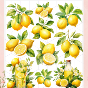TRANSFER TERMOTRANSFERIBLE TEXTIL LIMONES 1