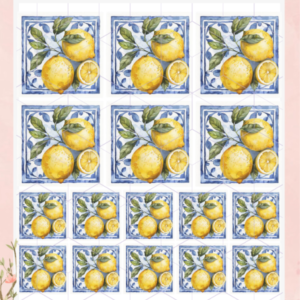 TRANSFER TERMOTRANSFERIBLE TEXTIL LIMONES 3