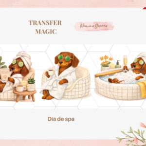 TRANSFER MAGIC – DIA DE SPA