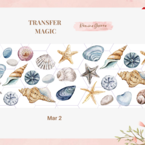 TRANSFER MAGIC – MAR 2