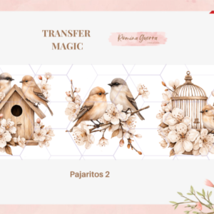 TRANSFER MAGIC – PAJARITOS 2