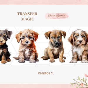 TRANSFER MAGIC – PERRITOS 1