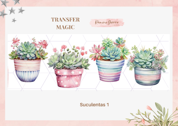 TRANSFER MAGIC - SUCULENTAS 1